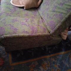 ソファーベッドの画像