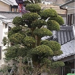 お庭の剪定、掃除致します。 - 剪定/造園