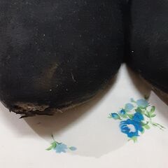 ショートブーツの画像