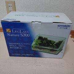 水槽 アクアリウム テラリウム