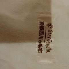 西川　タオルケットの画像