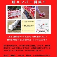 メンバー大募集‼︎足立区学童野球チーム　レッドファイヤーズ　 - 足立区