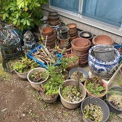 園芸用　植木鉢　プランターのみ