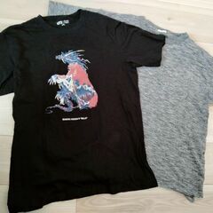 メンズ　Tシャツ　2L　2枚セット
