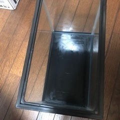 小さな水槽の画像