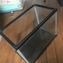 小さな水槽