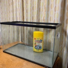 60cm水槽