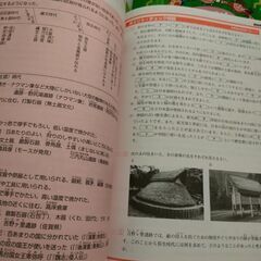 中学受験問題集　社会科　理科　6年生用（日能研）の画像