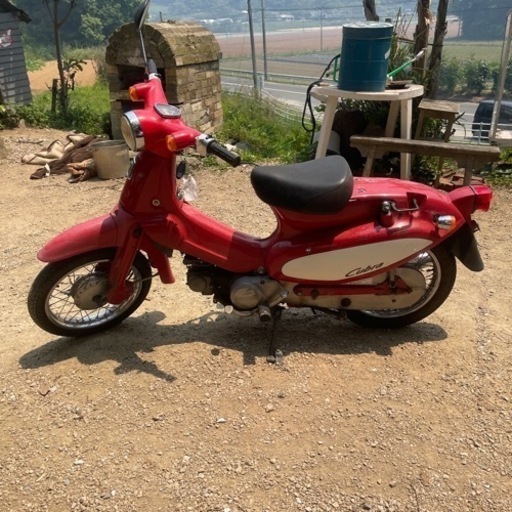 【最終価格】ホンダ　リトルカブラ