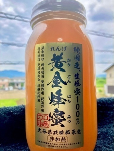 国産蜂蜜れんげ　(1kg ×3) 3kg 送料はこちらが負担します。送料無料