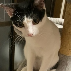決まりました。 - 和歌山市