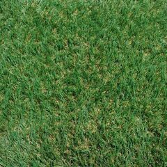 商談中　人工芝（４m以上✕１m）現状販売　２枚価格 処分