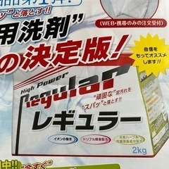 ドロ汚れ洗剤レギュラー500グラム