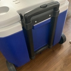 取引中クーラーボックス