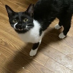 決まりました！ - 和歌山市