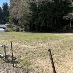 【三和町中寺　土地】