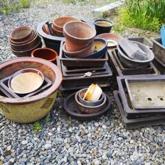 植木鉢多数の画像