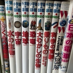 NEO 図鑑 セット