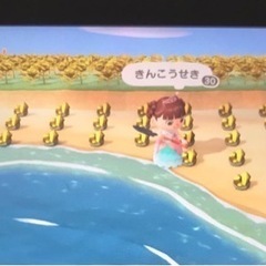 あつ森　ローカル通信友達募集 - 友達