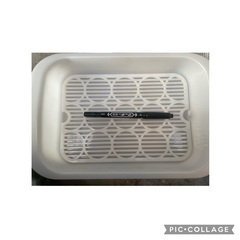 ❁⃘多肉❁⃘追記あり