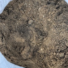 【終了】土あげます！土処分(土嚢袋入り)の画像