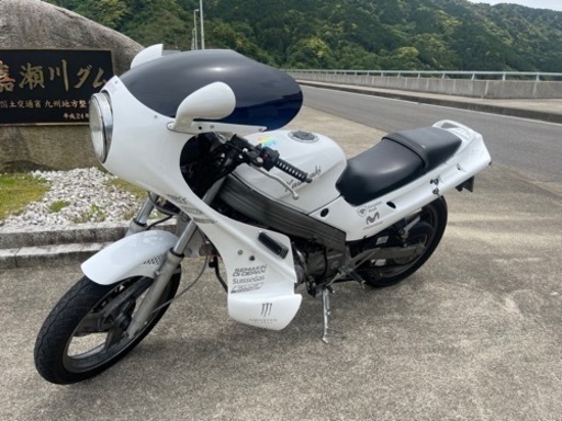 バイク Kawasaki ZZR250