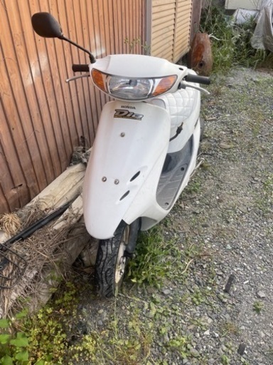 ライブディオ　AF34