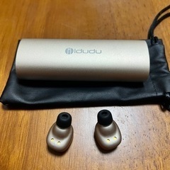 【決まりました】Bluetoothワイヤレスイヤホン