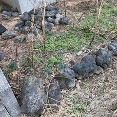 浅間石　大中小　15kg