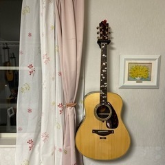 晴れた空の下でアコギを弾いてみませんか？初心者大歓迎✩.*˚