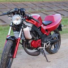 【実働！自賠責付】ホンダ　NS-1 名古屋から