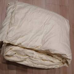 掛布団　２００*２００ｃｍ　中古品　色褪せありの画像