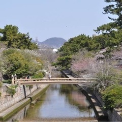 9/11(日) 7:30〜 夙川で朝活〜歩いたり、モーニングしたり、筋トレしたり〜 − 兵庫県