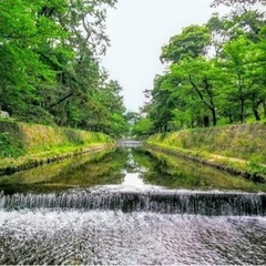 9/11(日) 7:30〜 夙川で朝活〜歩いたり、モーニングしたり、筋トレしたり〜 - その他
