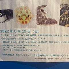 東北ペットフェスに一緒に行ってくれる方いませんか？ - 仙台市