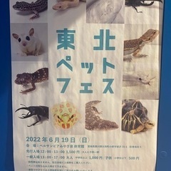東北ペットフェスに一緒に行ってくれる方いませんか？