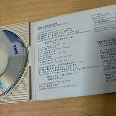 【CD】WILD HEAVEN  _  TMNの画像