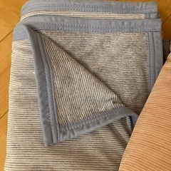 ニトリ　Nクール　ヒンヤリケットの画像