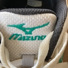 mizuno 24.0シューズの画像