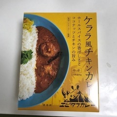 ケララ風チキンカレー　【エピタフカレー】