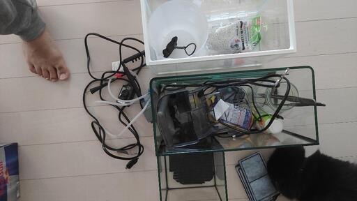 水槽、熱帯魚関係の品