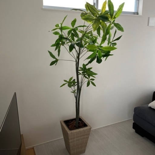 観葉植物　造花　フェイクグリーン