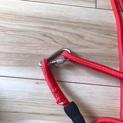 犬用30メートルリードの画像