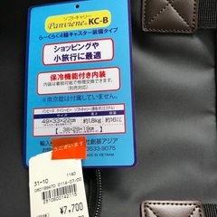 パンビーヌ　ソフトキャリー　新品未使用の画像