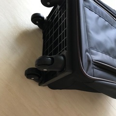 パンビーヌ　ソフトキャリー　新品未使用の画像