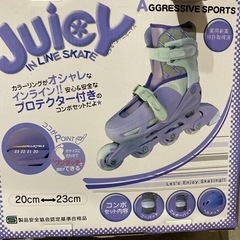 引取先決定　子供用のインラインスケート
