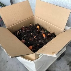段ボールコンポスト 情報交換しませんか。