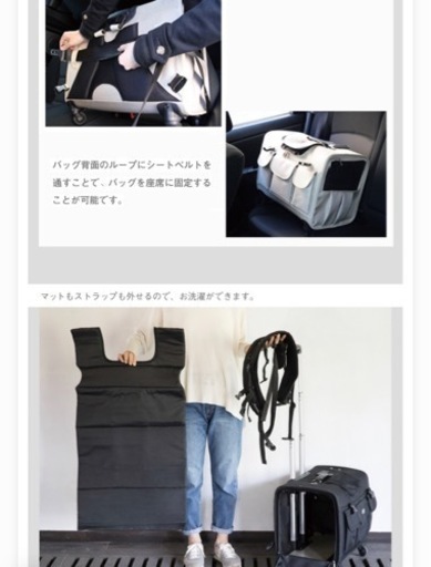 ペットキャリー TAKE MEのLサイズ