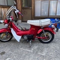 シャリー　cf50 カスタム