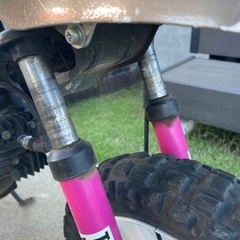 ポケバイ！（不動）の画像